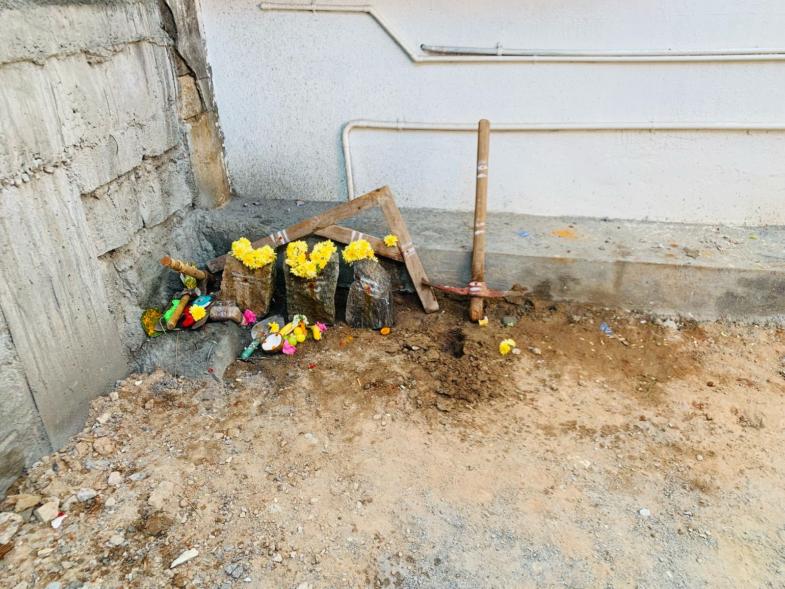 WhatsApp Image 2025-03-12 at 11.31.00 AM.jpeg